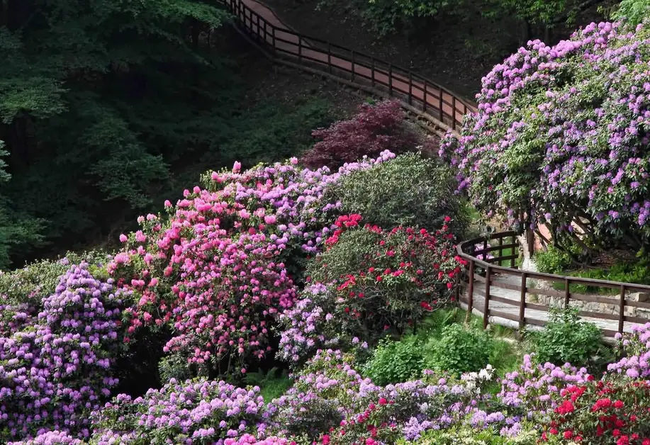 Oasi Zegna a natural paradise in Piedmont