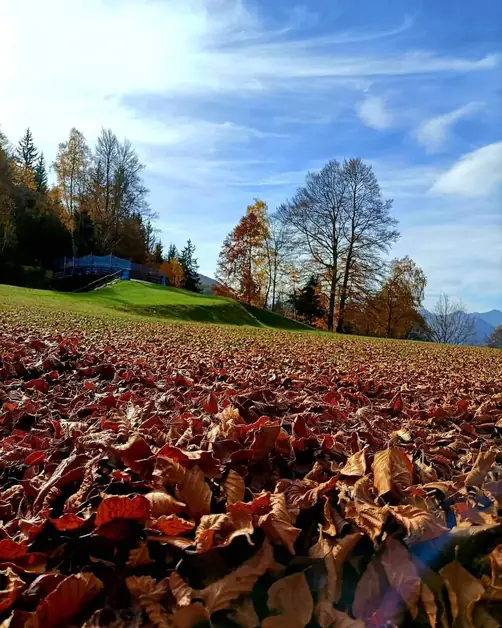 Pian Coumarial the natural paradise in Aosta Valley