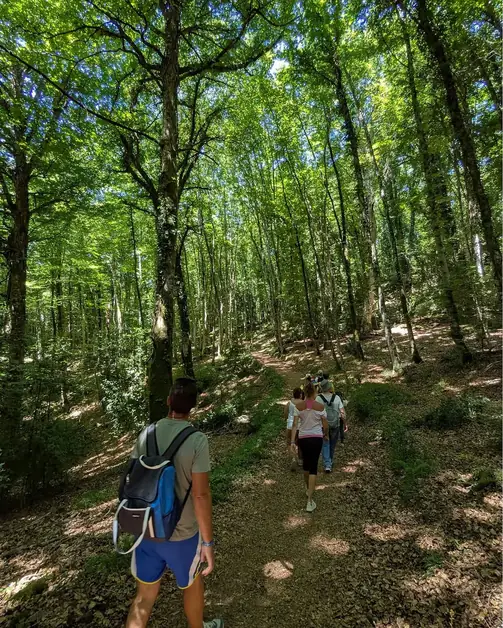 The Umbra Forest a natural treasure to discover