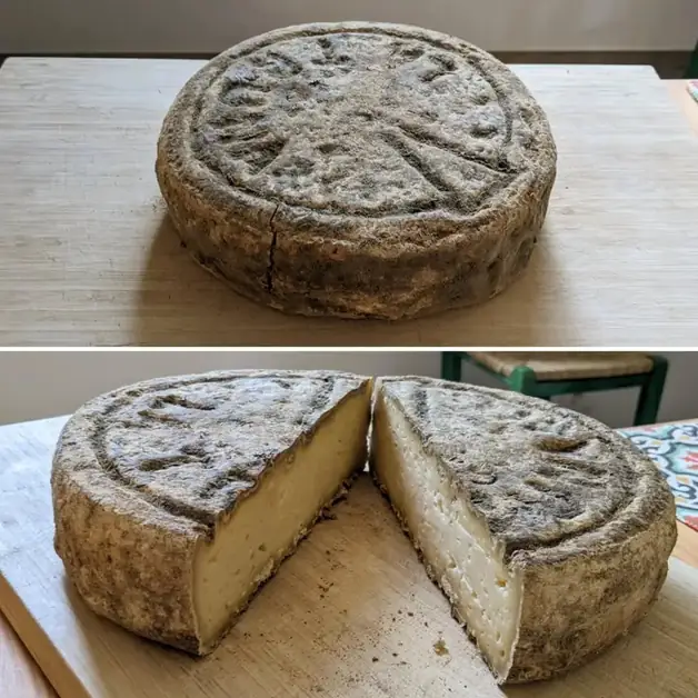 Toma Biellese the cheese of the alpine valleys