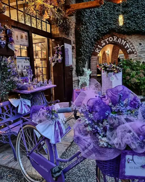 Complete guide to parking in Grazzano Visconti