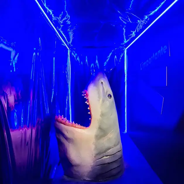 Prices and hours of the National Cinema Museum