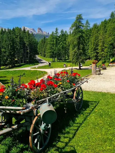 The Journey from Cortina to Passo Falzarego
