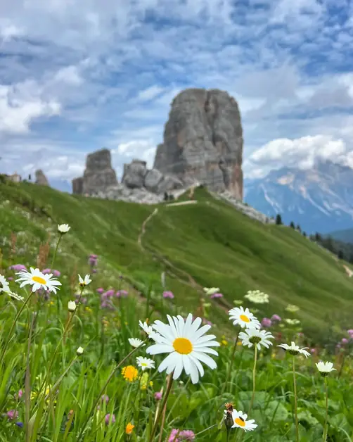 Visit the Great War Museum between history and nature