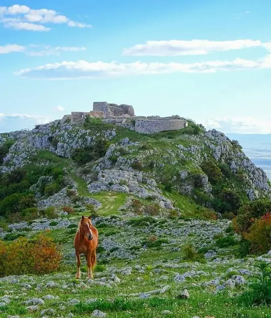 Apricena in a few hours: itinerary between the village and Castel Pagano