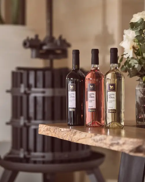 The New Crifo Winery in Bari