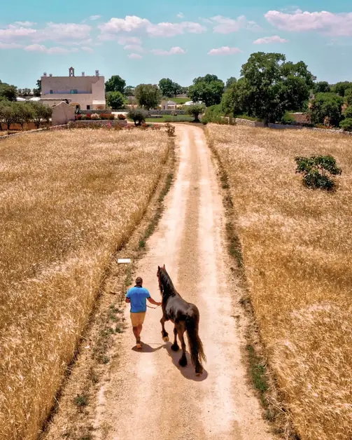 Horseback Riding in Puglia