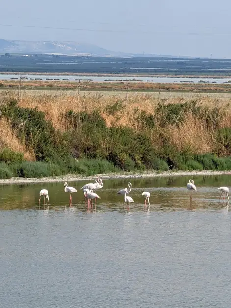 Margherita di Savoia Salt Pans
