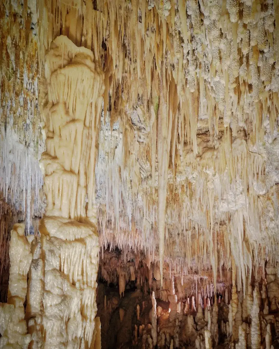 カステッラーナ・グロッテで過ごす特別な一日：自然・歴史・伝統を満喫
